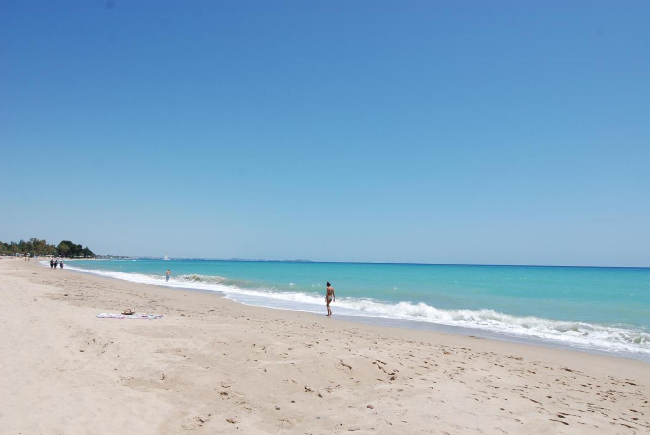 Zeus Guardamar Seaview Apartment Miami Playa Ngoại thất bức ảnh