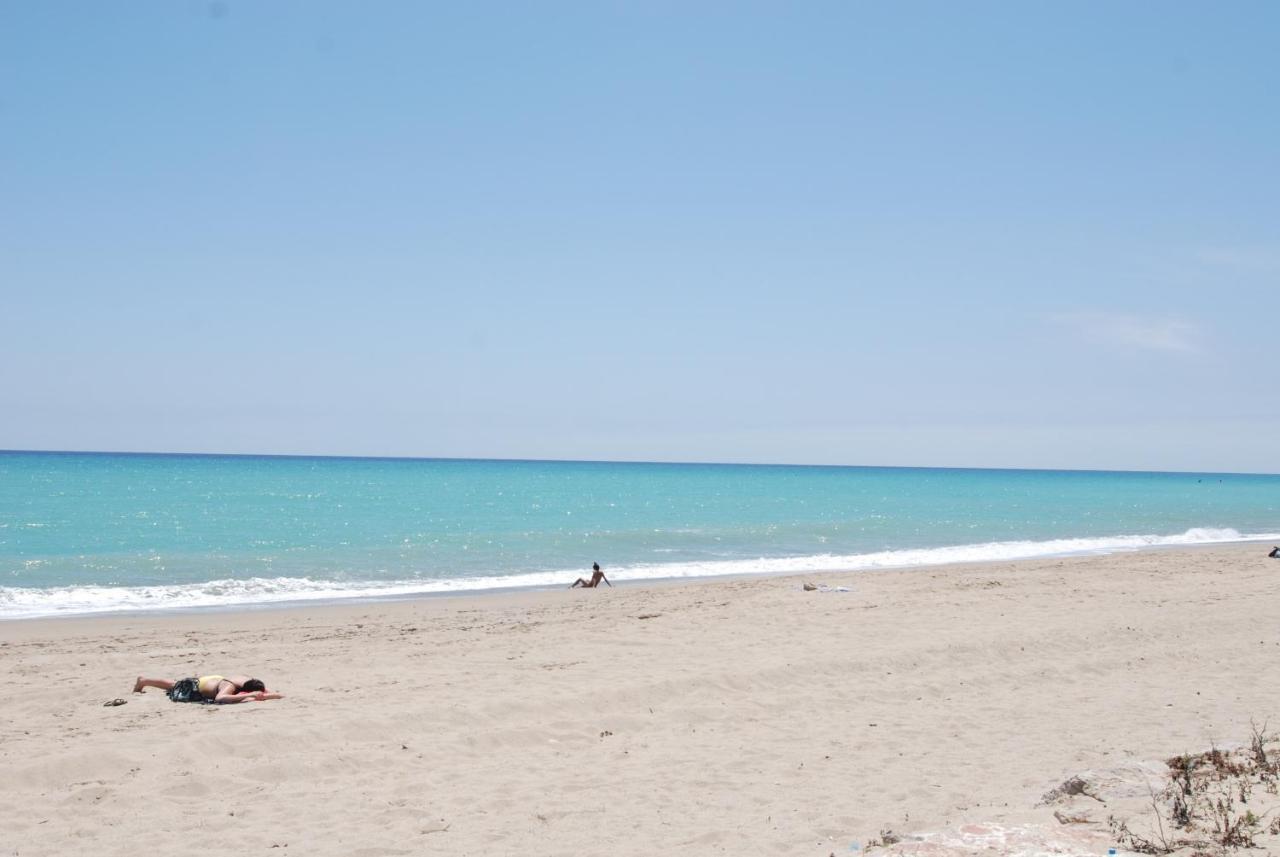 Zeus Guardamar Seaview Apartment Miami Playa Ngoại thất bức ảnh